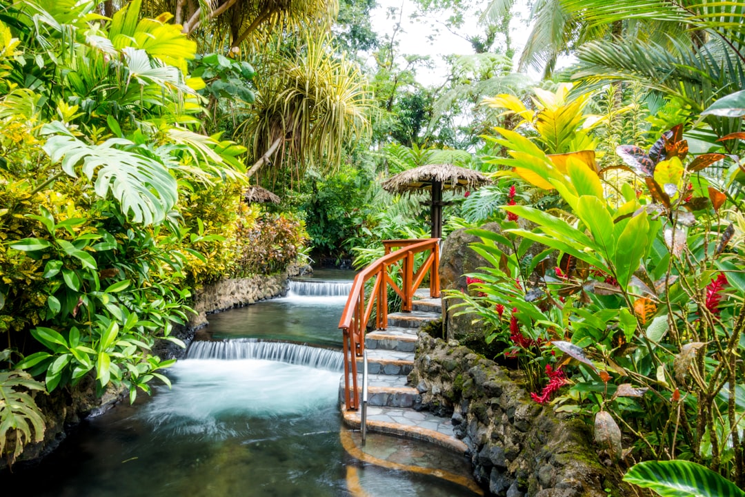 brown wooden bridge over river, Tabacon Resort in Costa Rica.