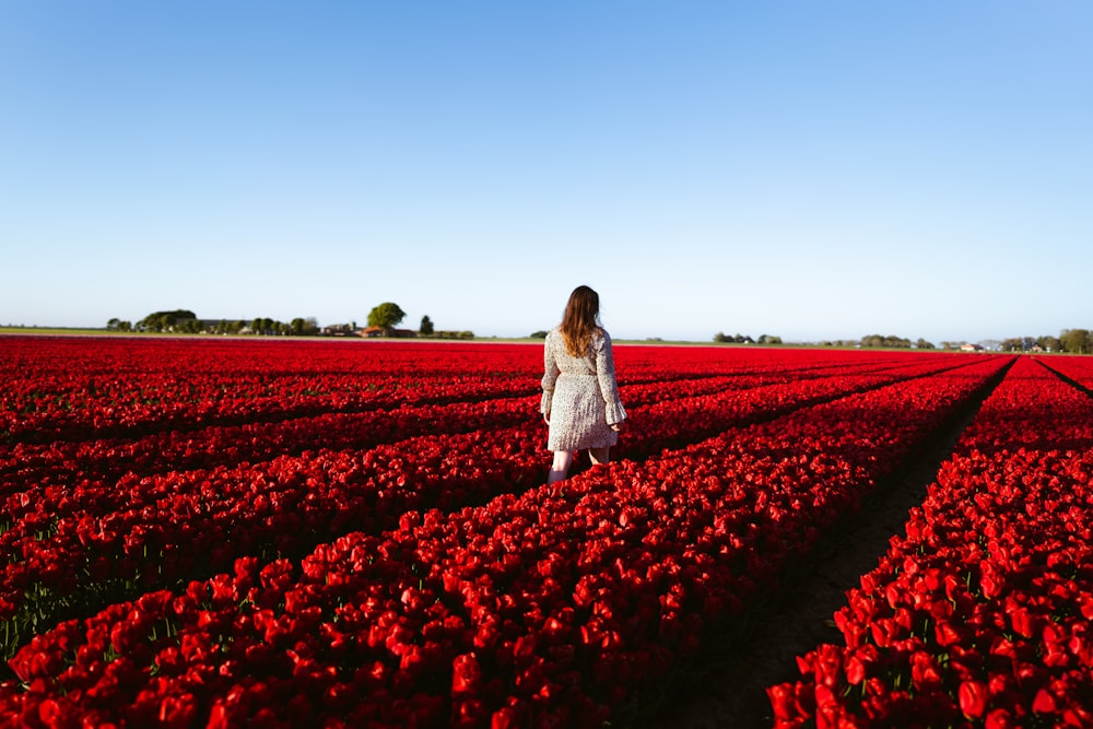 woman in white dress standing on red flower field during daytime