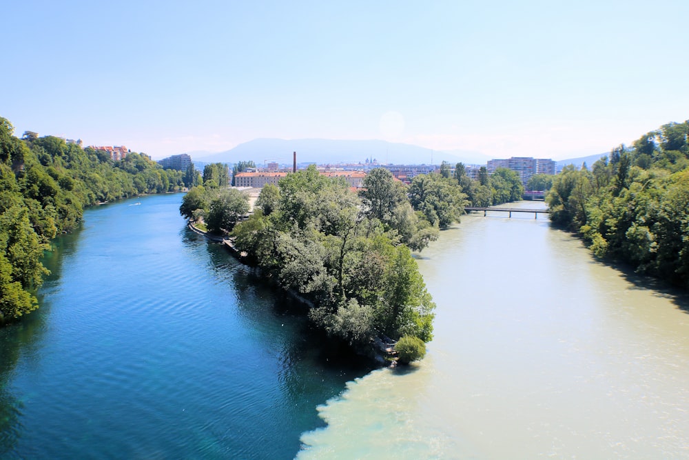 Árboles verdes junto al río durante el día