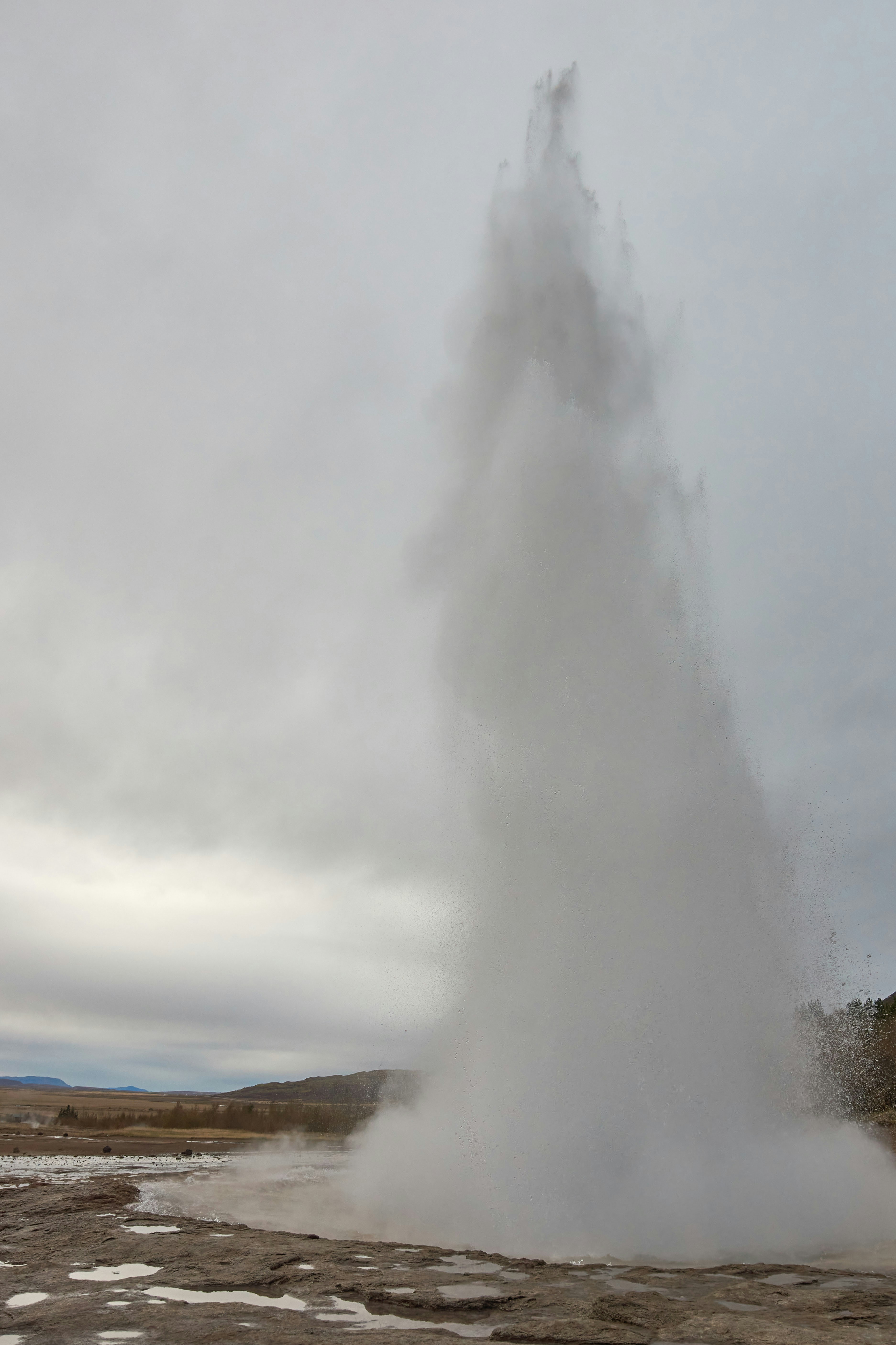 Photo by wolfgang_hasselmann