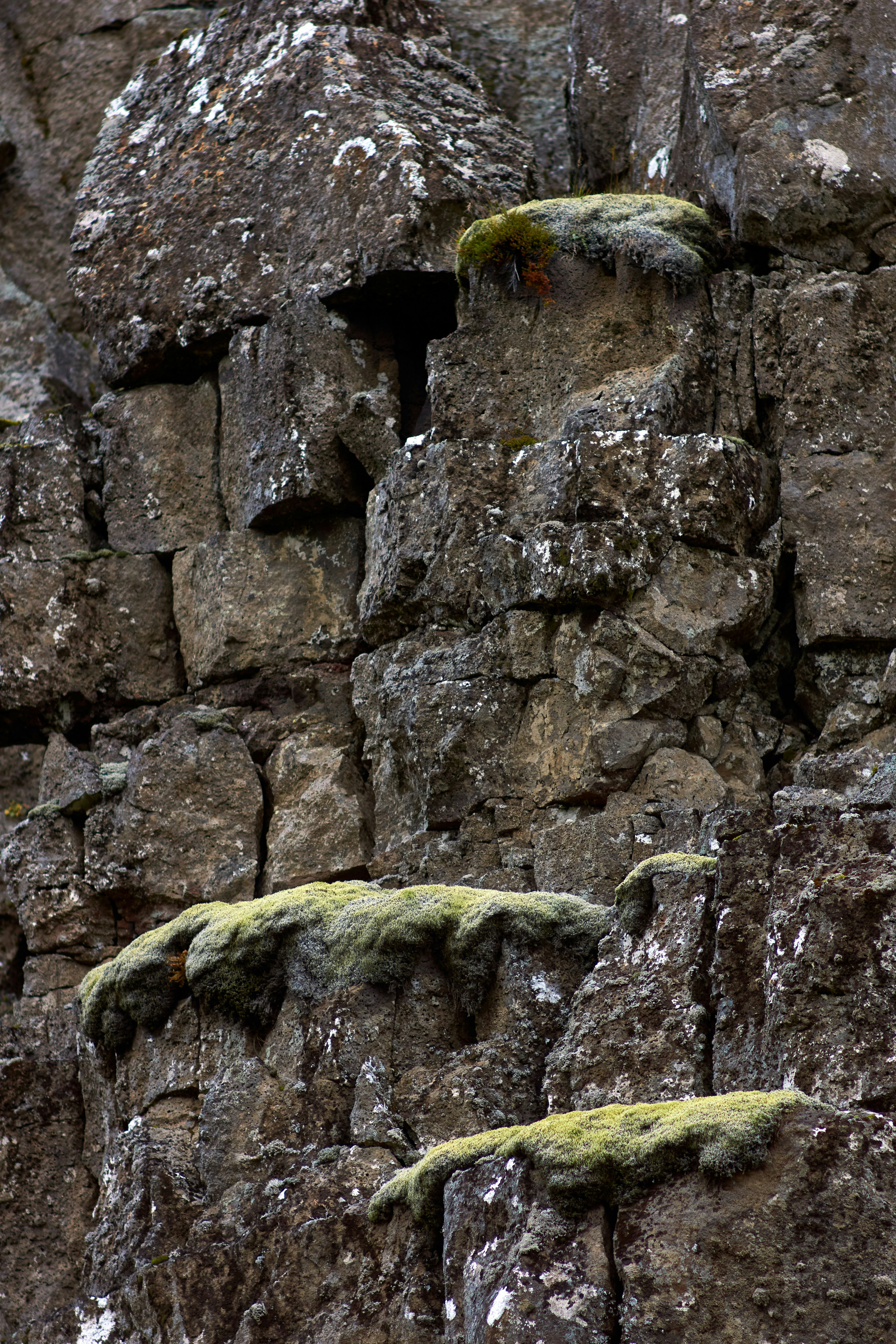 Photo by wolfgang_hasselmann