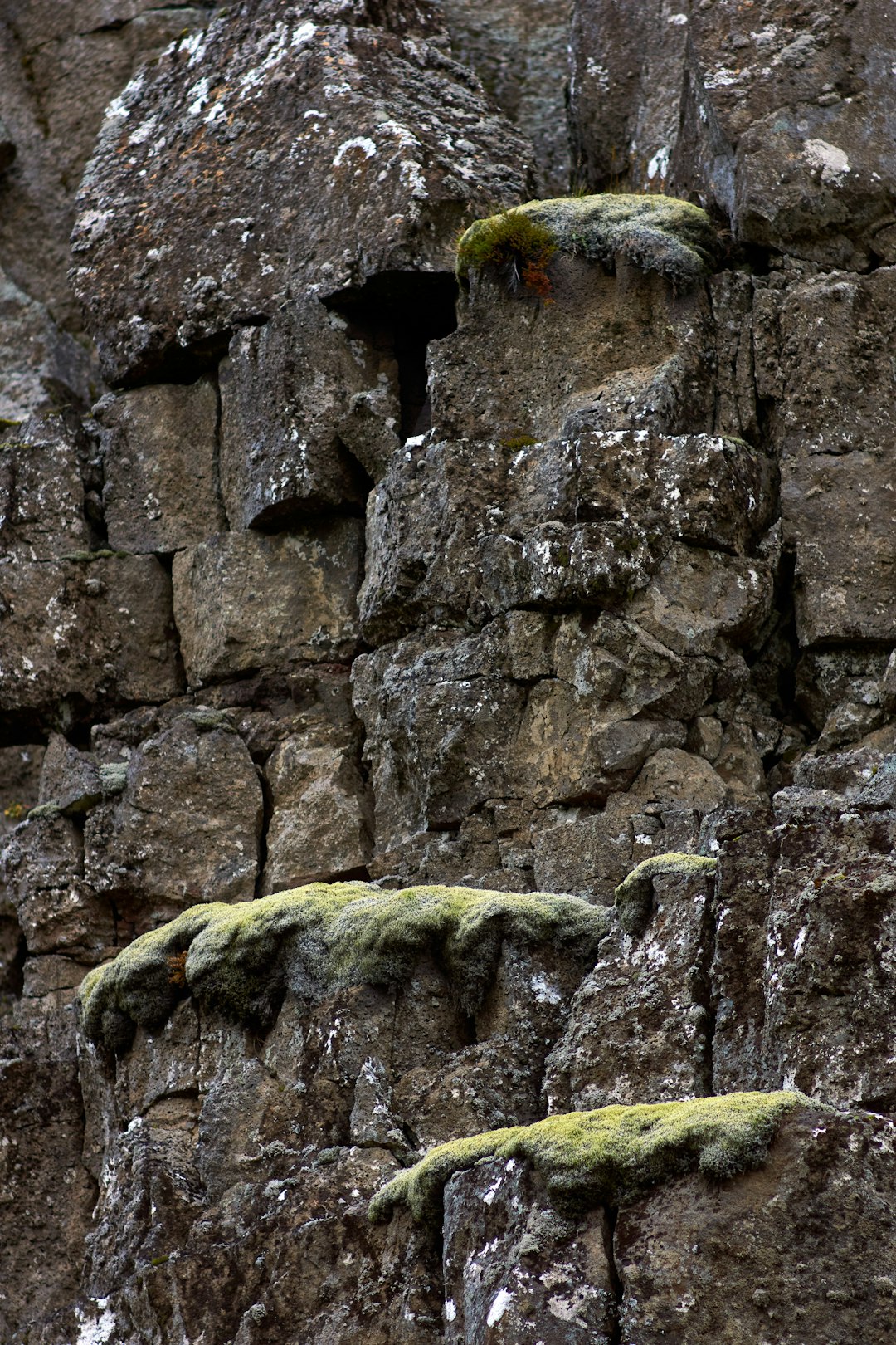 gray rock formation with moss