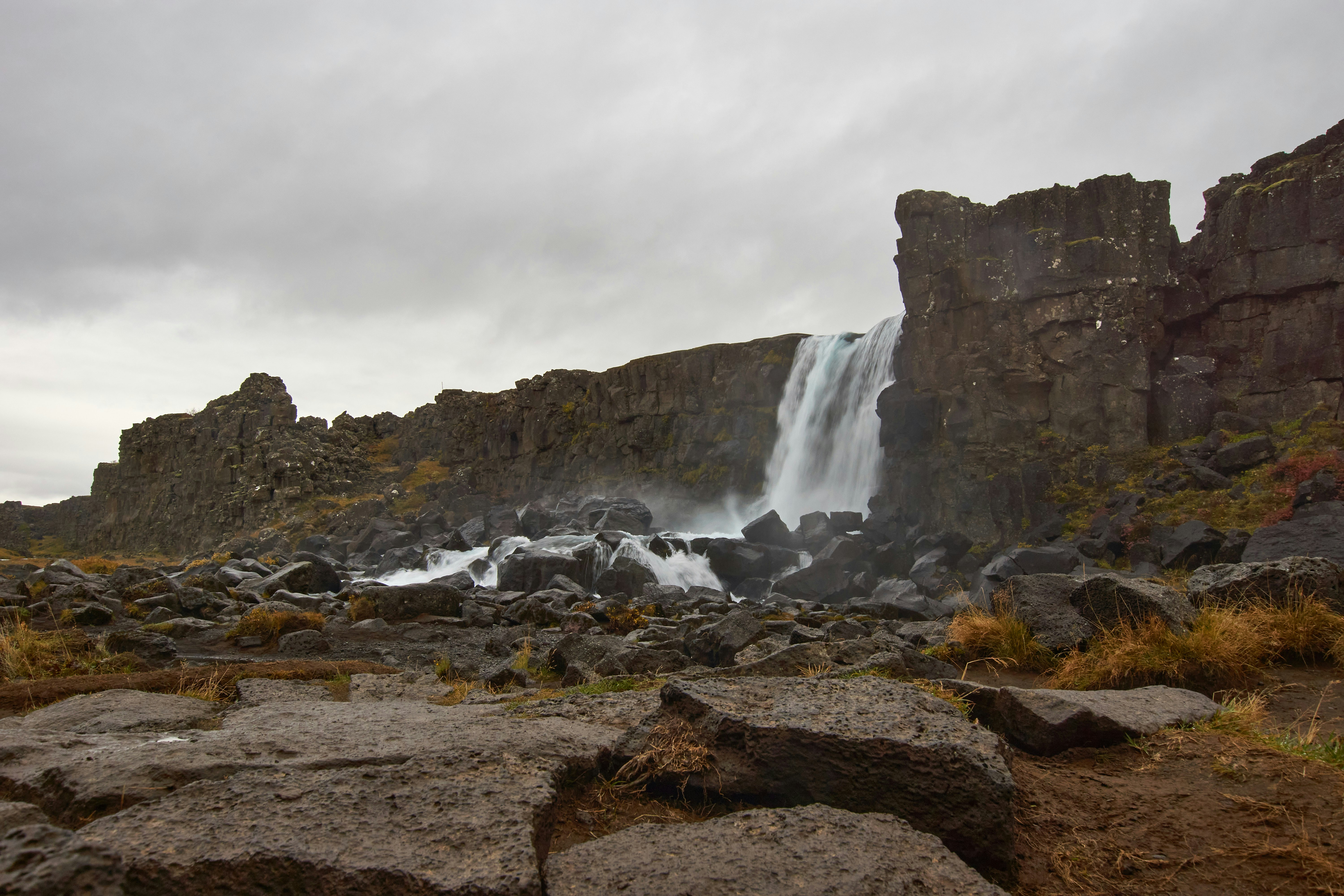 Photo by wolfgang_hasselmann