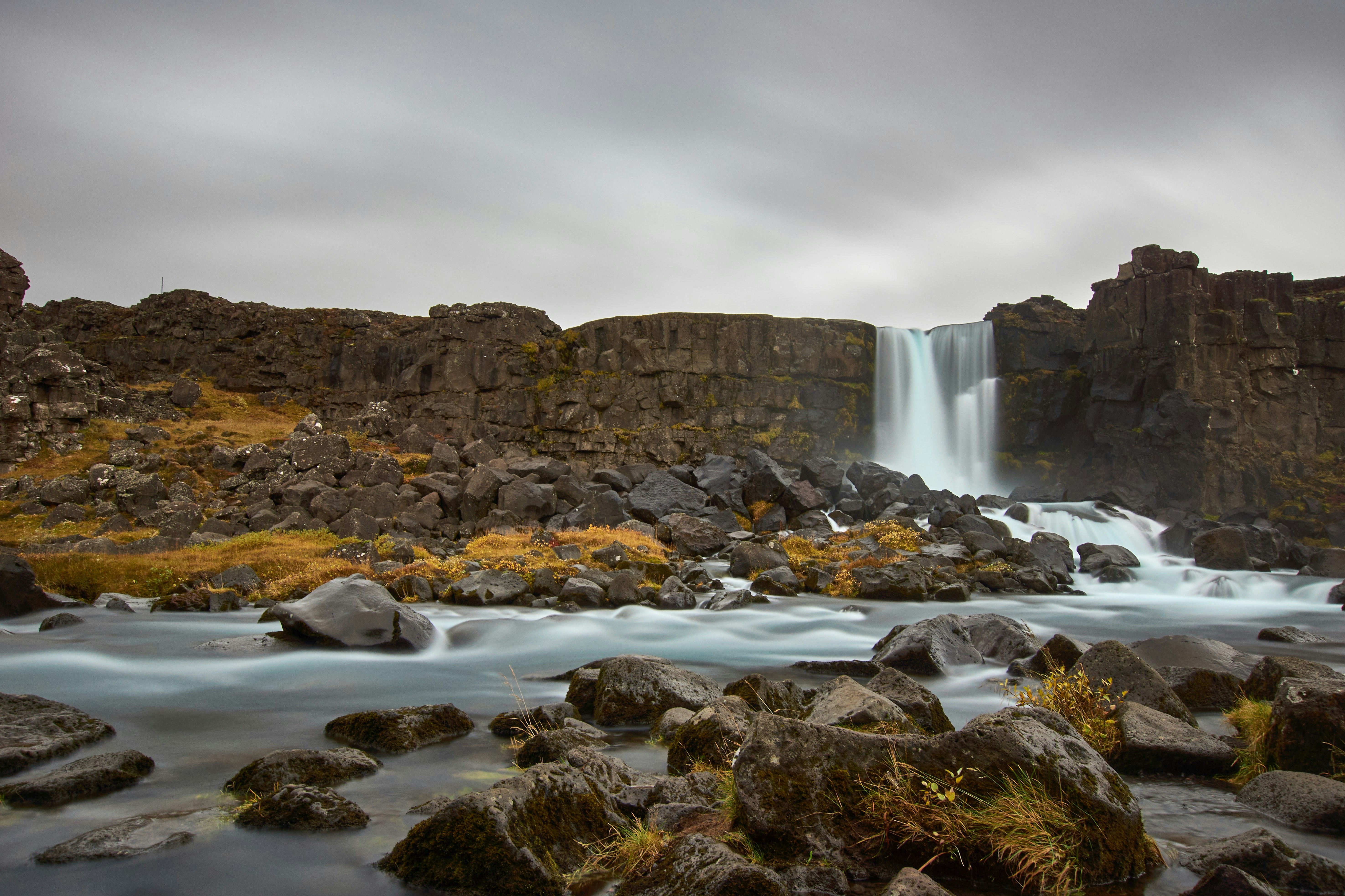 Photo by wolfgang_hasselmann