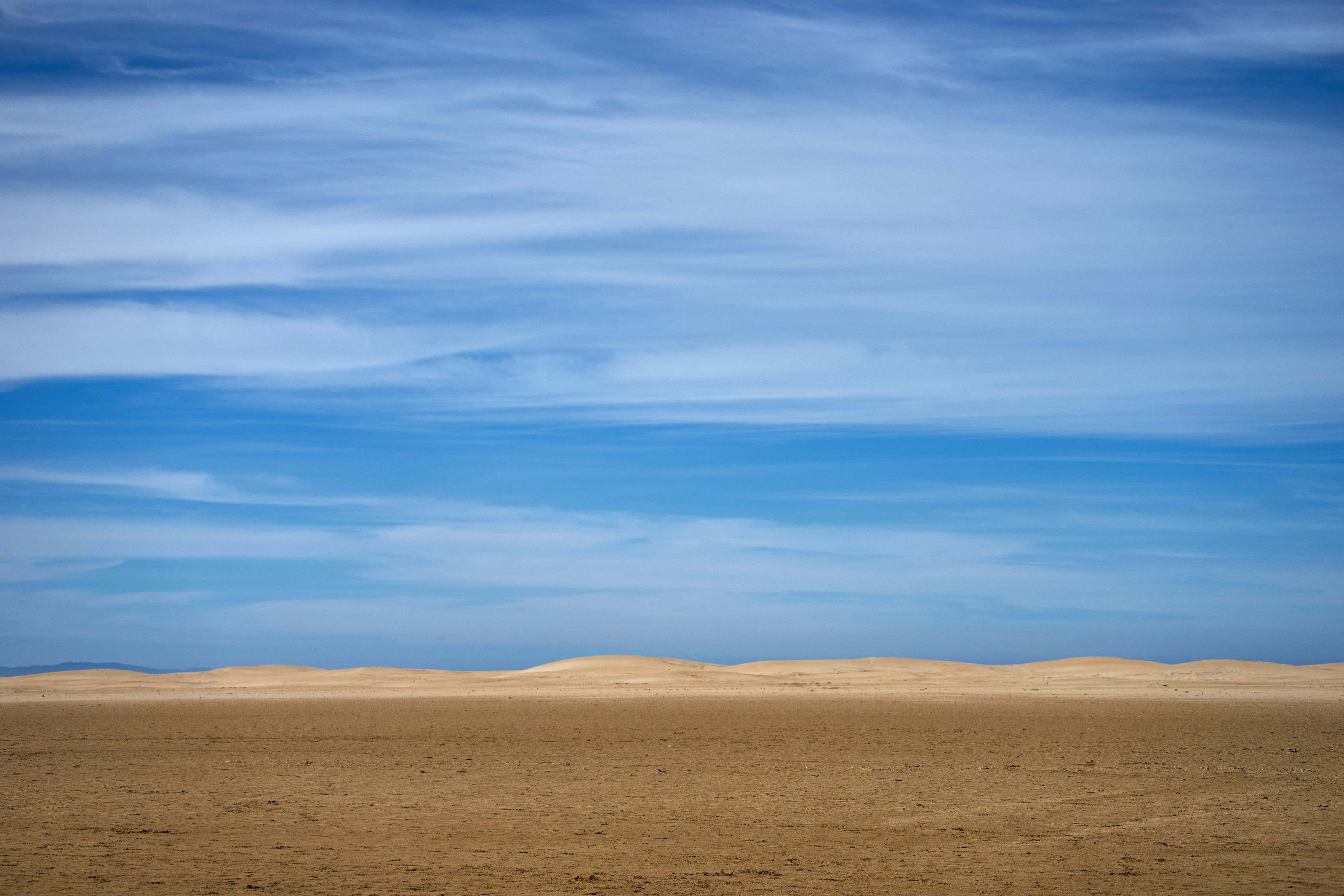 Photo by wolfgang_hasselmann