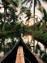 Odisha