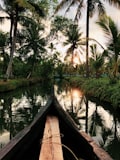 Places to Visit in Kochi Chinese Fishing Nets