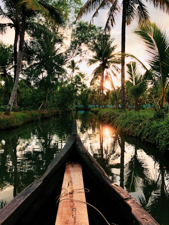 brown wooden boat on lake during sunset in Munroe Island India