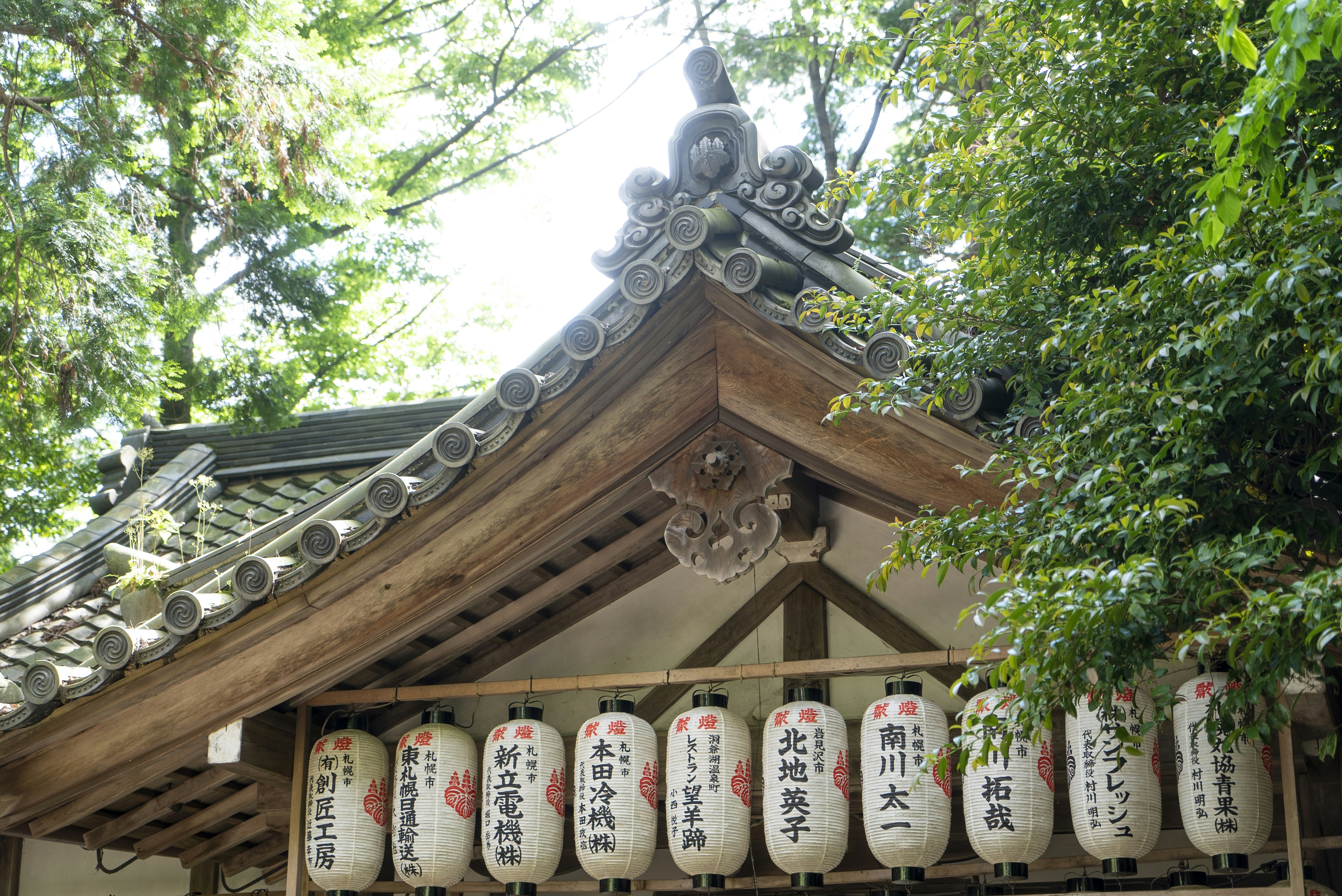 Photo by davidemrich