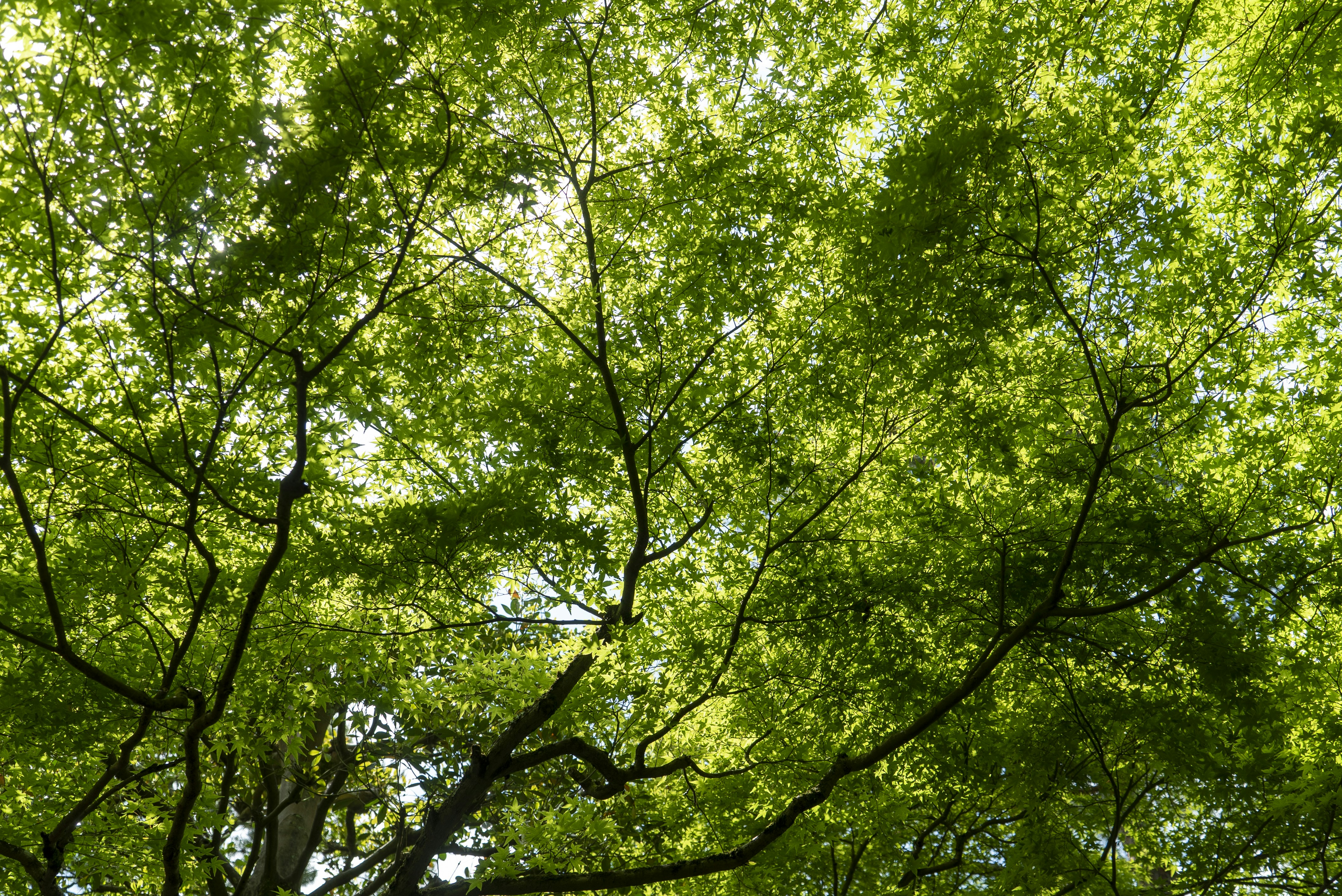 Photo by davidemrich