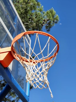 A basketball hoop with an orange rim and a white net is positioned under a clear blue sky. The backdrop includes green tree branches, and the faint outline of a moon is visible in the sky.