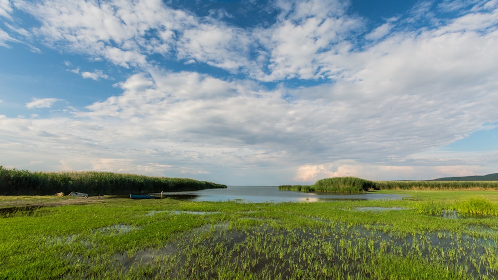 green grass field near body of water under blue and white cloudy sky during daytime