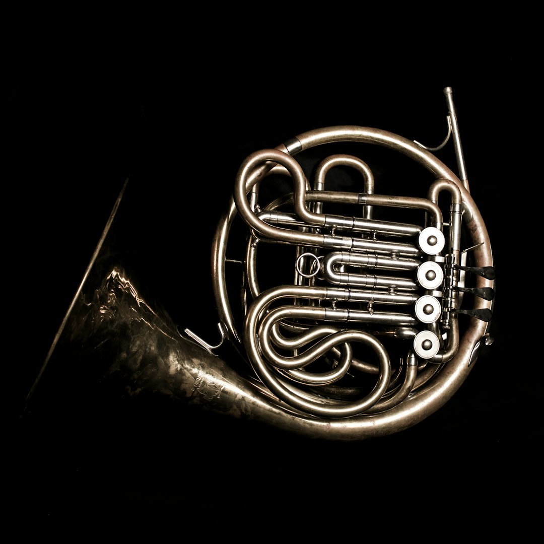 The official logo for the Kawartha Youth Orchestra.