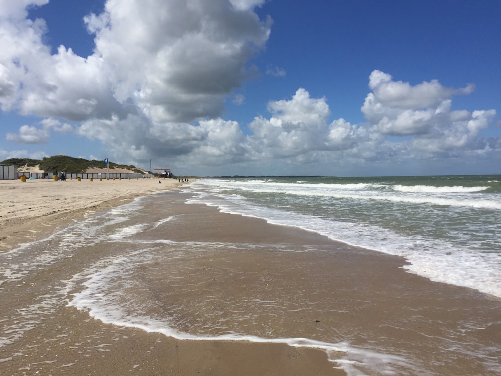 people on beach during daytime