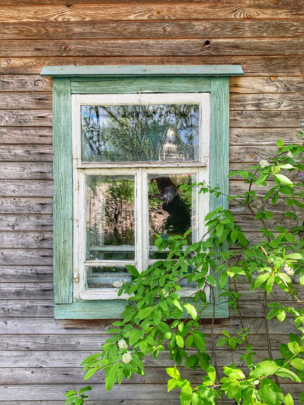 weißes Glasfenster mit Holzrahmen
