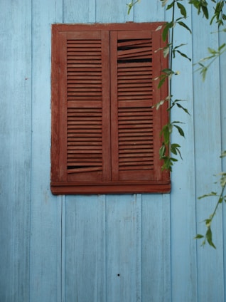 A rustic wooden window with closed shutters is set against a light blue wooden wall. Some green leaves hang down from the top right corner, providing a natural contrast to the man-made structure.