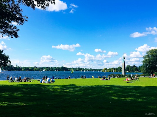 people on green grass field under blue sky during daytime
