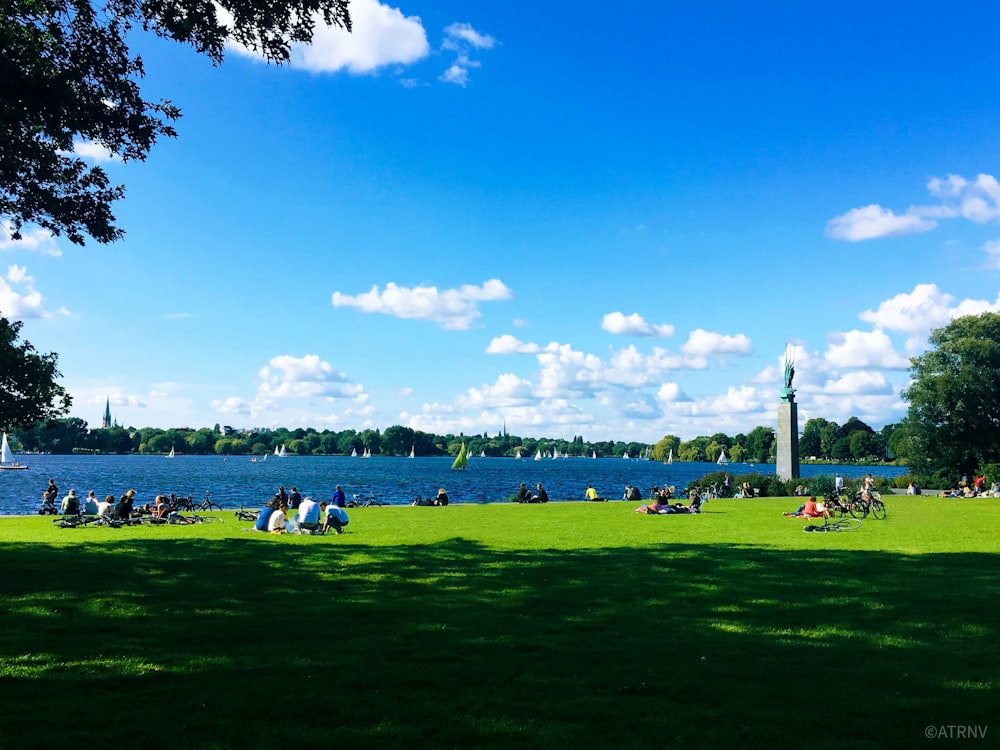 people on green grass field under blue sky during daytime