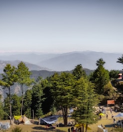 green trees near mountain during daytime