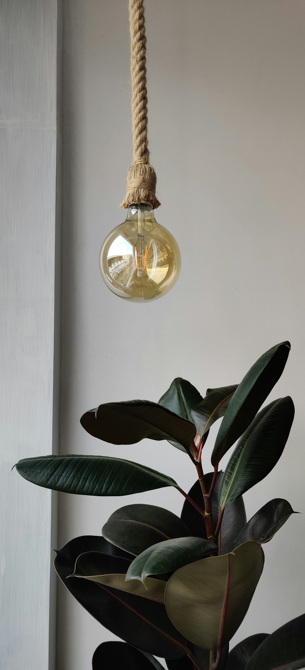 green plant beside glass bottle