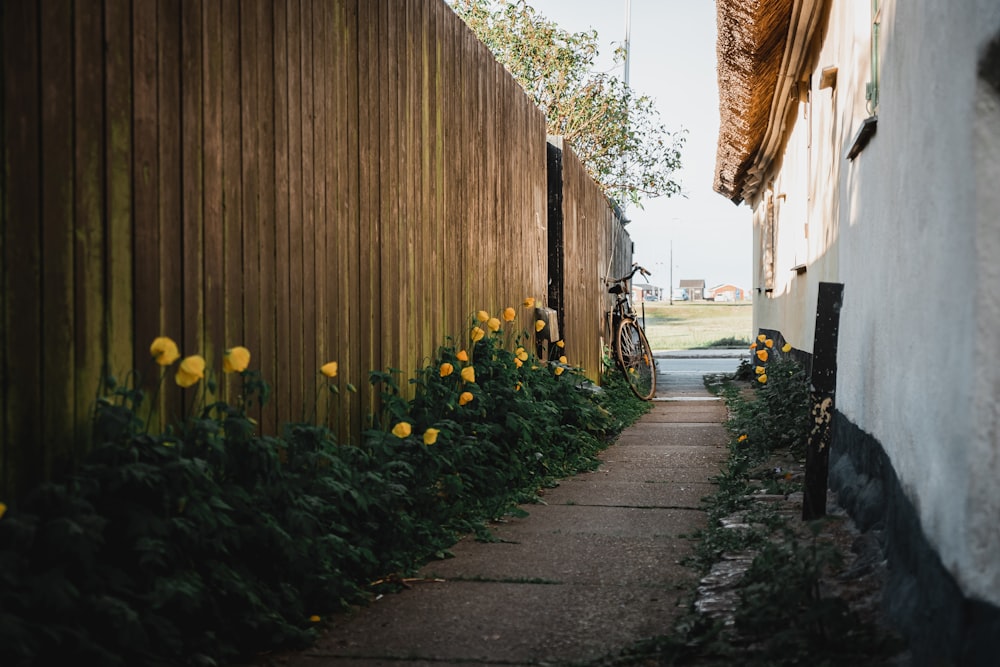 black bicycle parked beside brown wooden wall during daytime