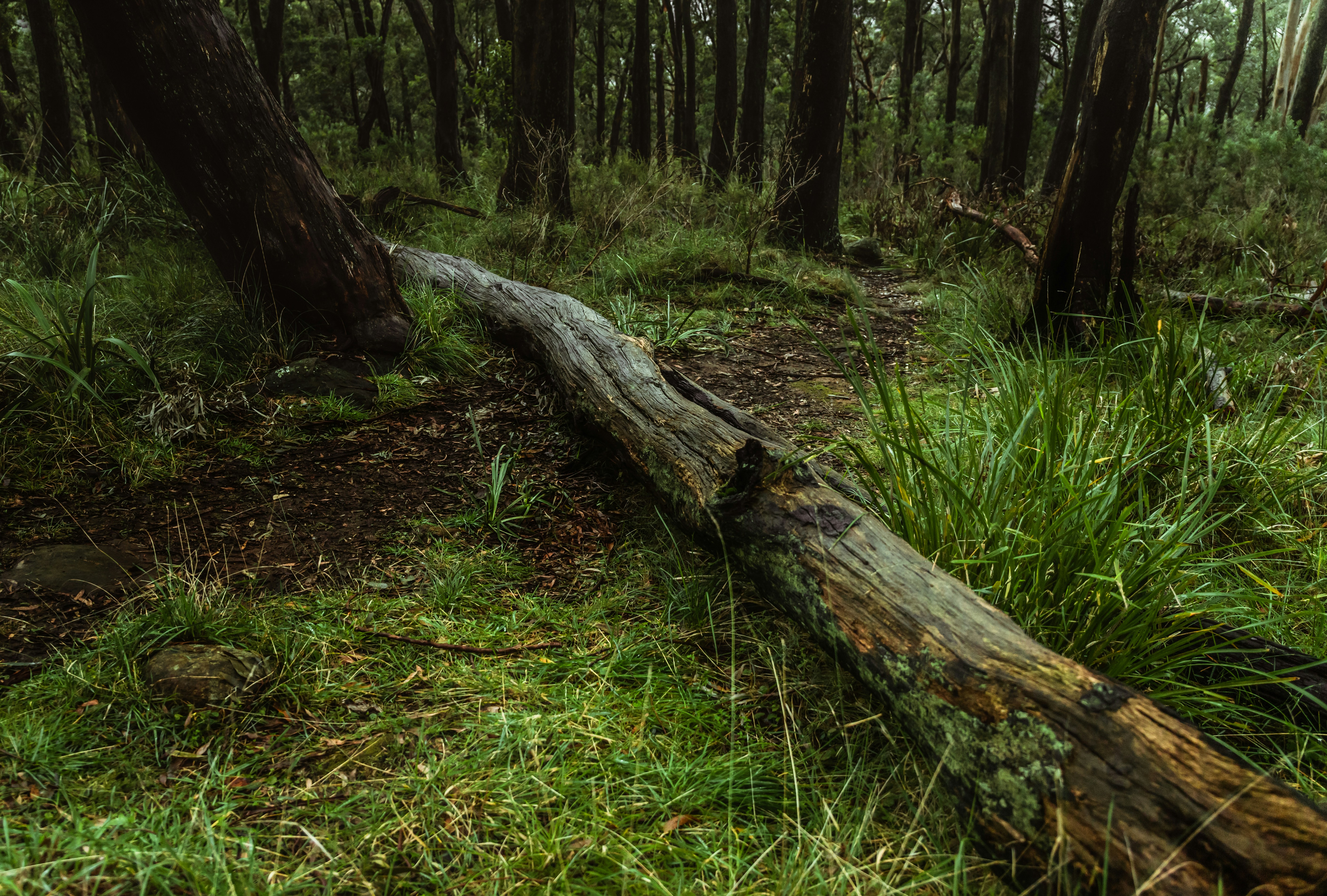 Wandong Things To Do 2026: What Google Won't Tell You