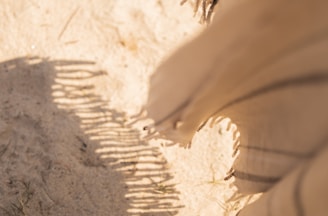 Close-up of sand beige textiles in a calming environment.