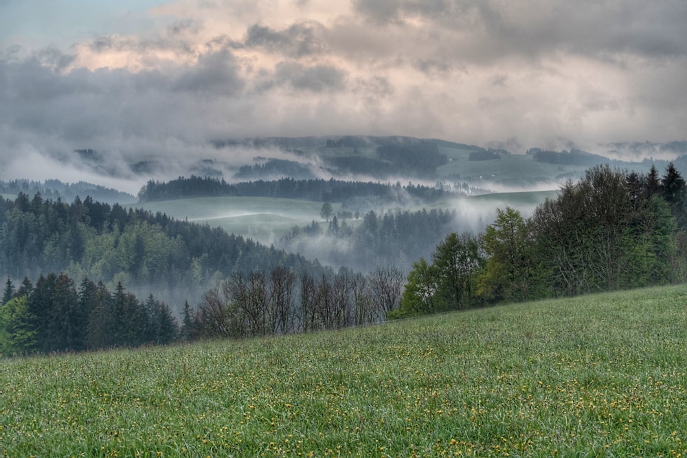 Champ d’herbe verte près du lac sous un ciel nuageux pendant la journée