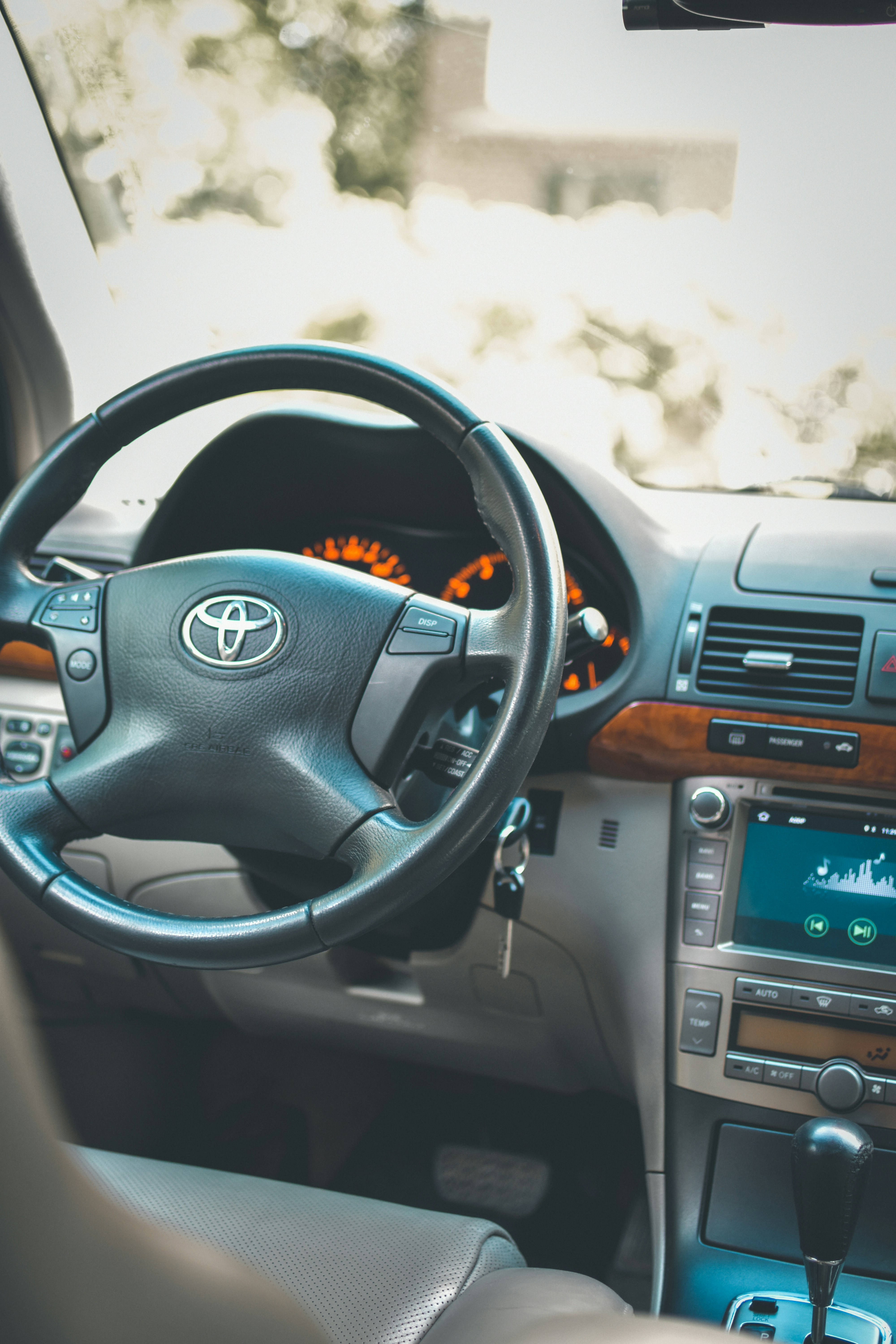 Photo by maxim_mushnikov