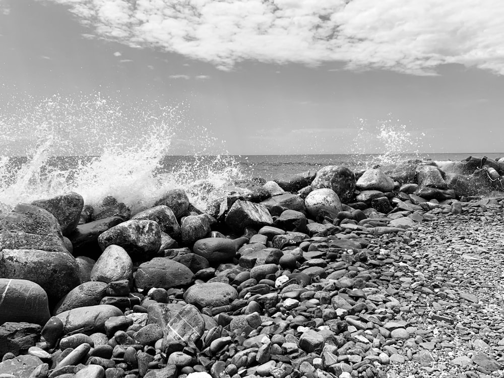 gray scale photo of rocky shore