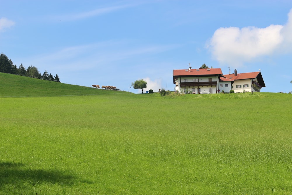 maison blanche et brune sur le champ d’herbe verte sous le ciel bleu pendant la journée