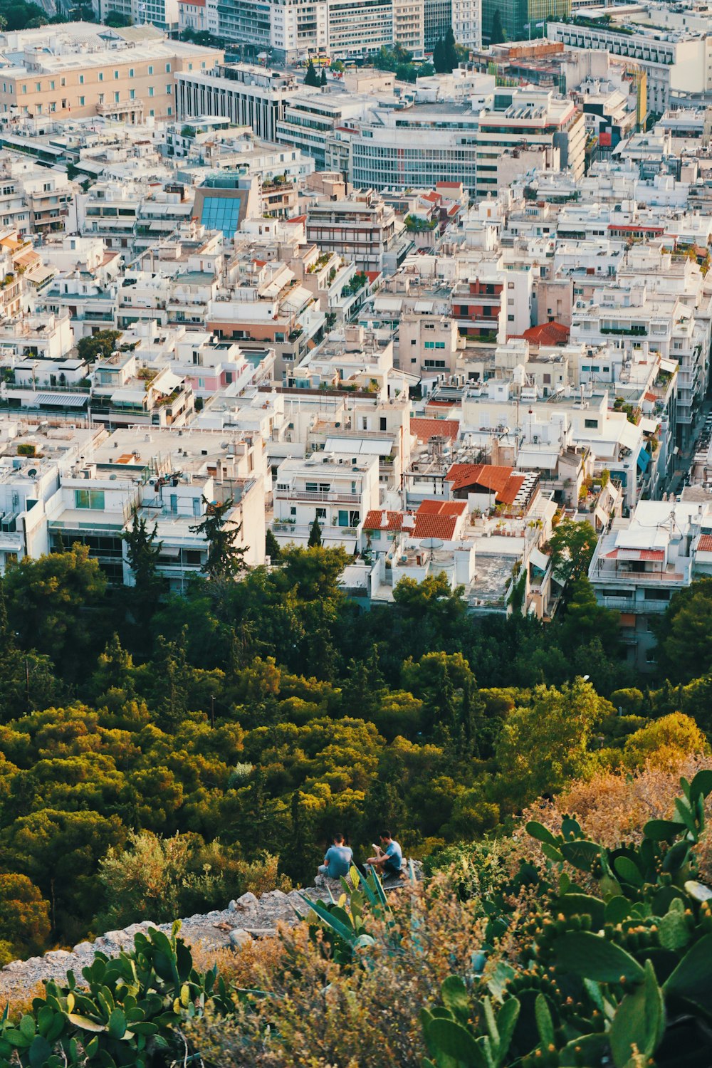 aerial view of city buildings during daytime