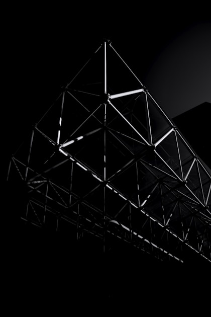 Lan rừng Việt Nam đa dạng loài trong tự nhiên