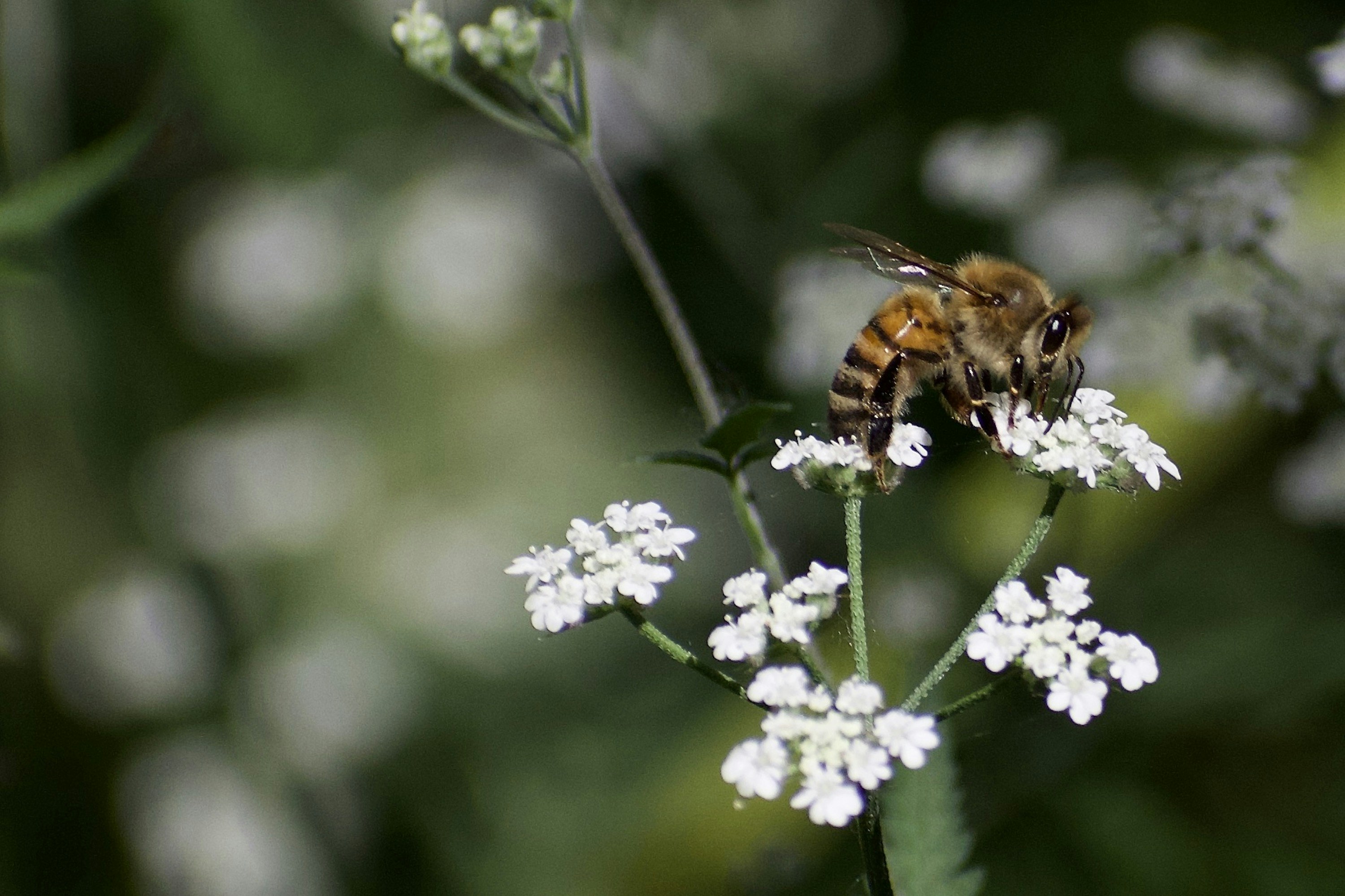 Photo by elisastonephotography