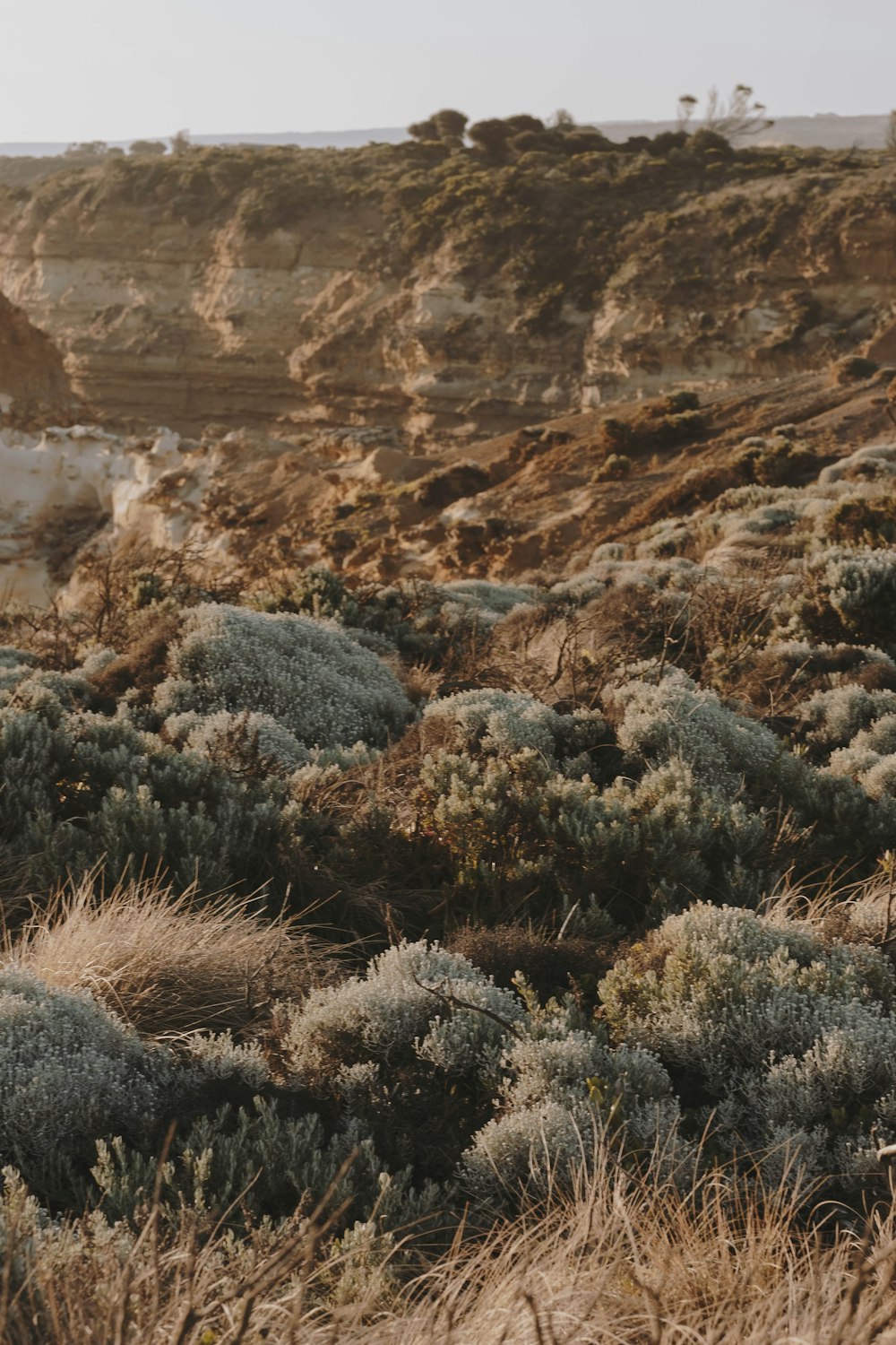 brown and gray rock formation