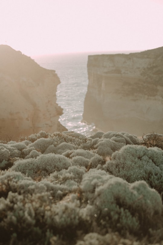 green and brown rock formation near body of water during daytime in Great Ocean Road Australia