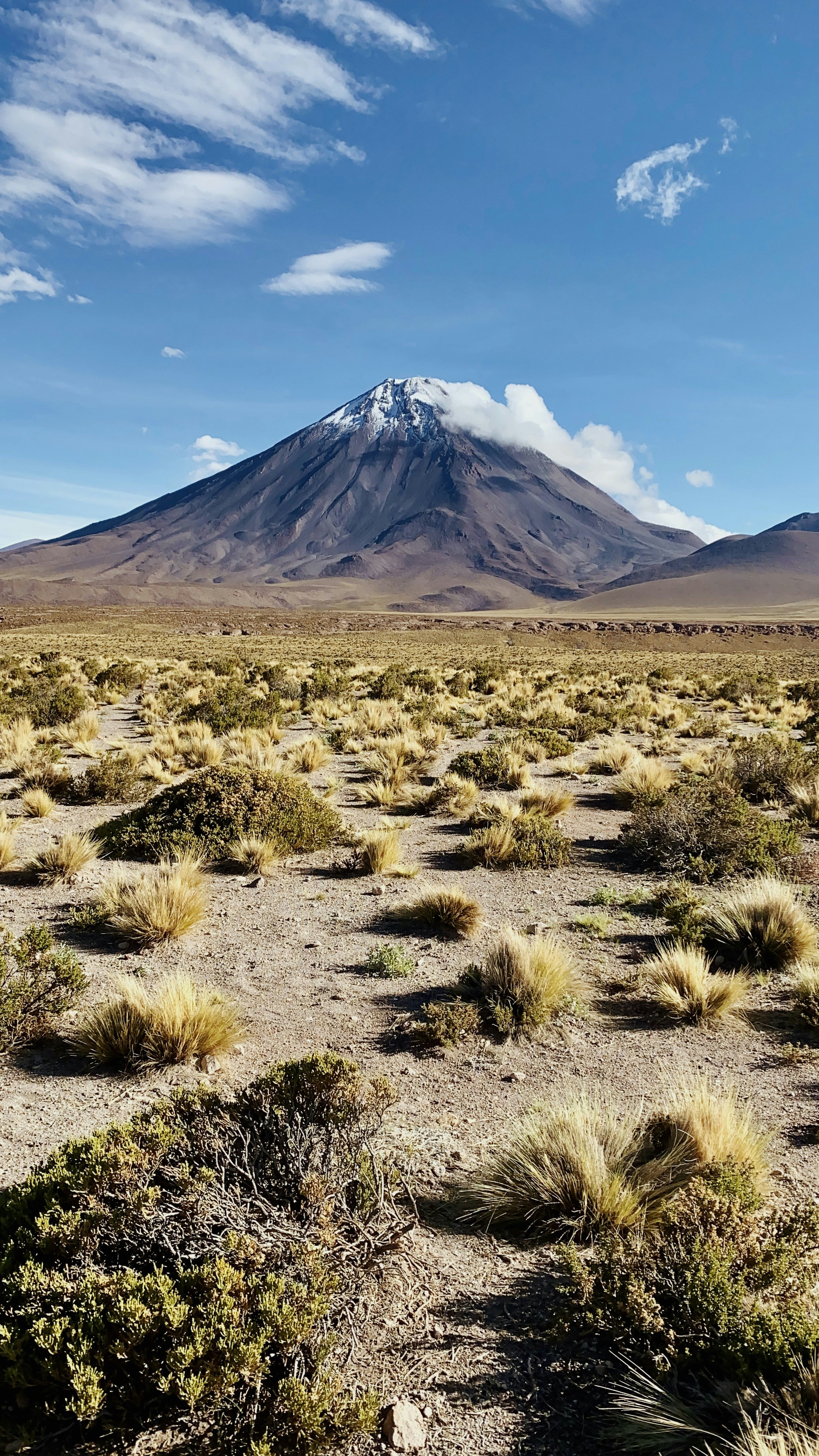 Photo by thiagosanchez