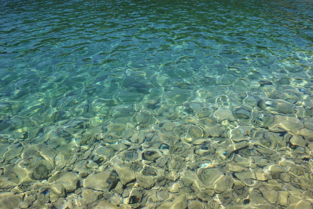 brown stones on body of water during daytime