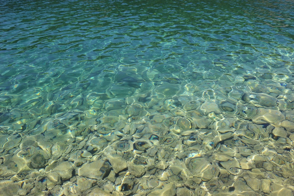 Pietre marroni sullo specchio d'acqua durante il giorno