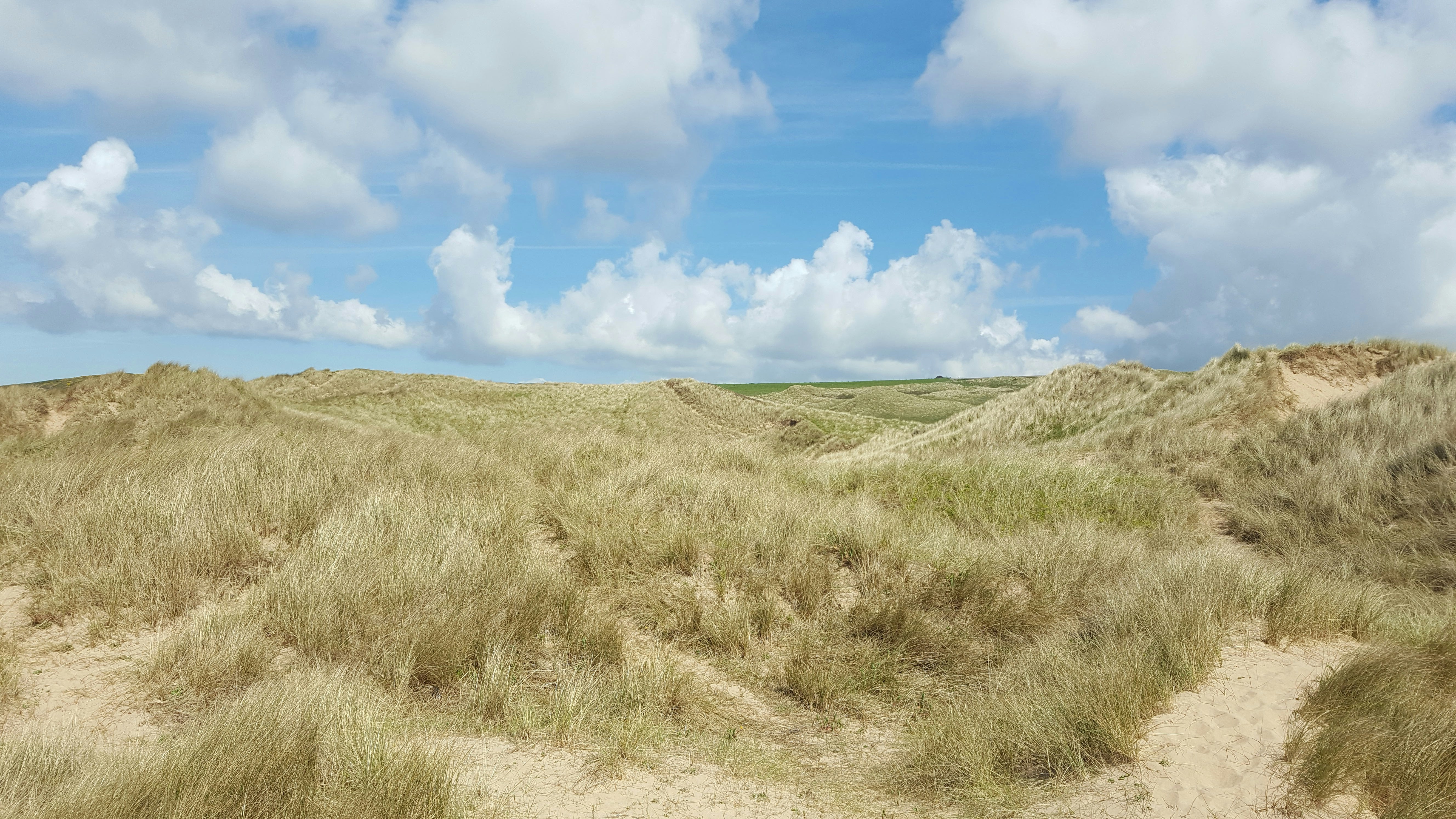Sand Dunes