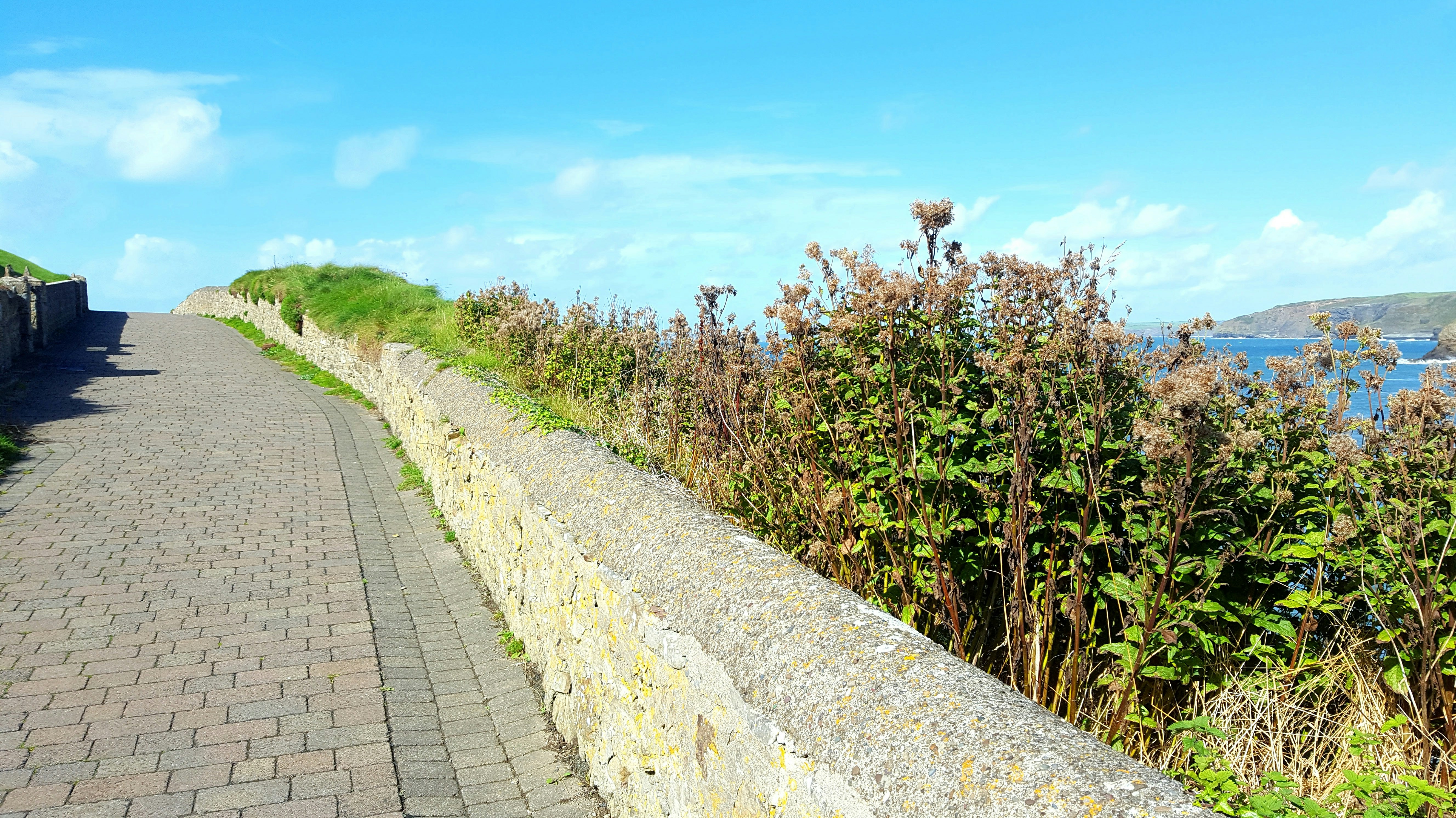 Path Leading up to Viewpoint