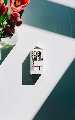 A carton labeled 'Boxed Water is Better' rests on a well-lit surface, casting a distinct shadow. To the left, a vase holds vibrant red tulips. The scene is minimalist and modern, with diagonal shadows creating dynamic lines across the white background.