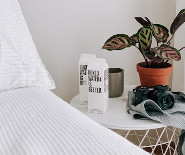 white and black labeled box beside green potted plant on white table