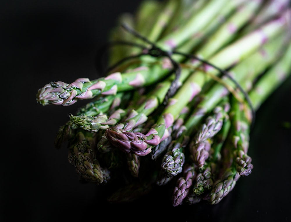 purple and green plant stem