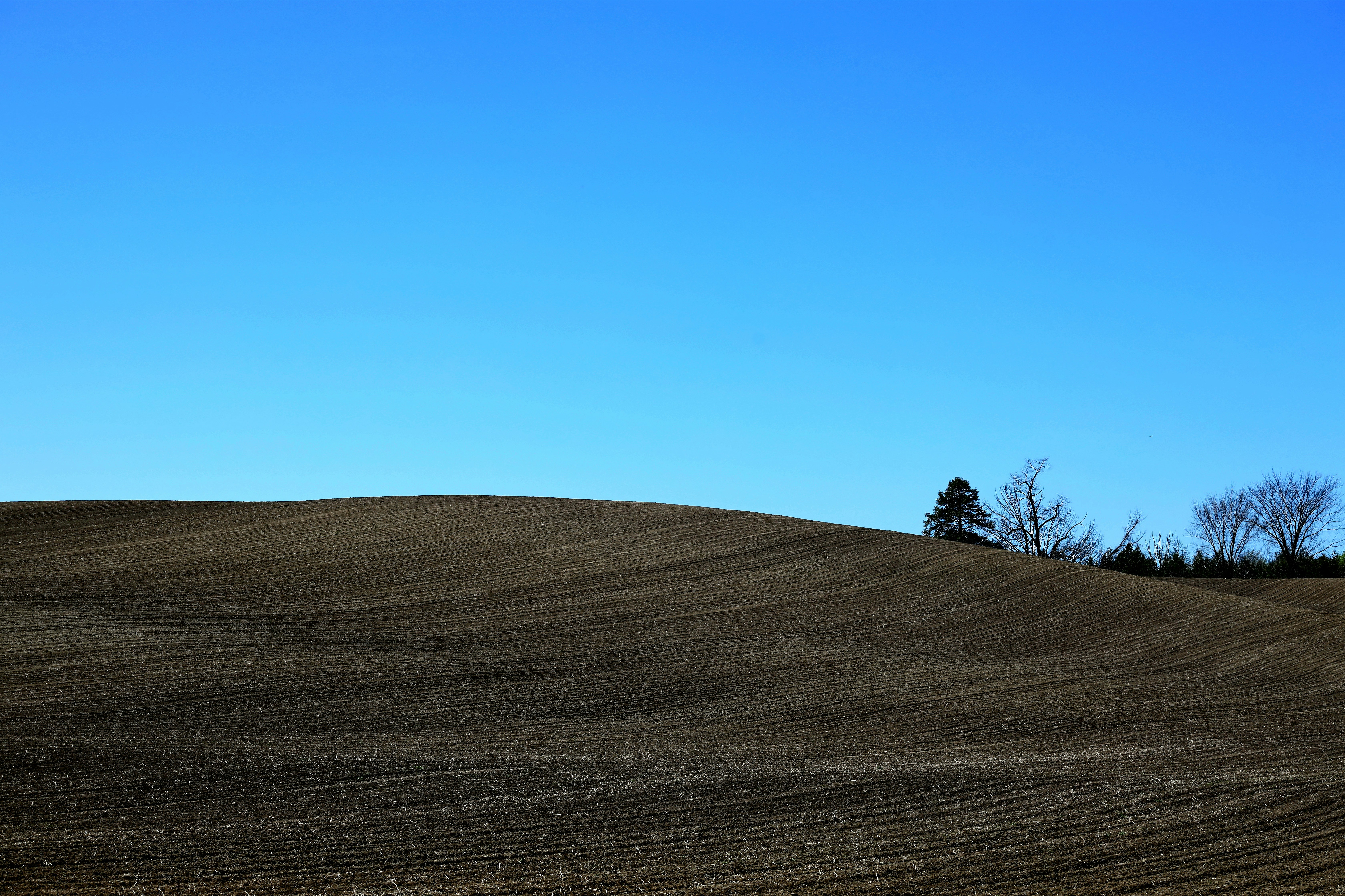 Photo by richardworks