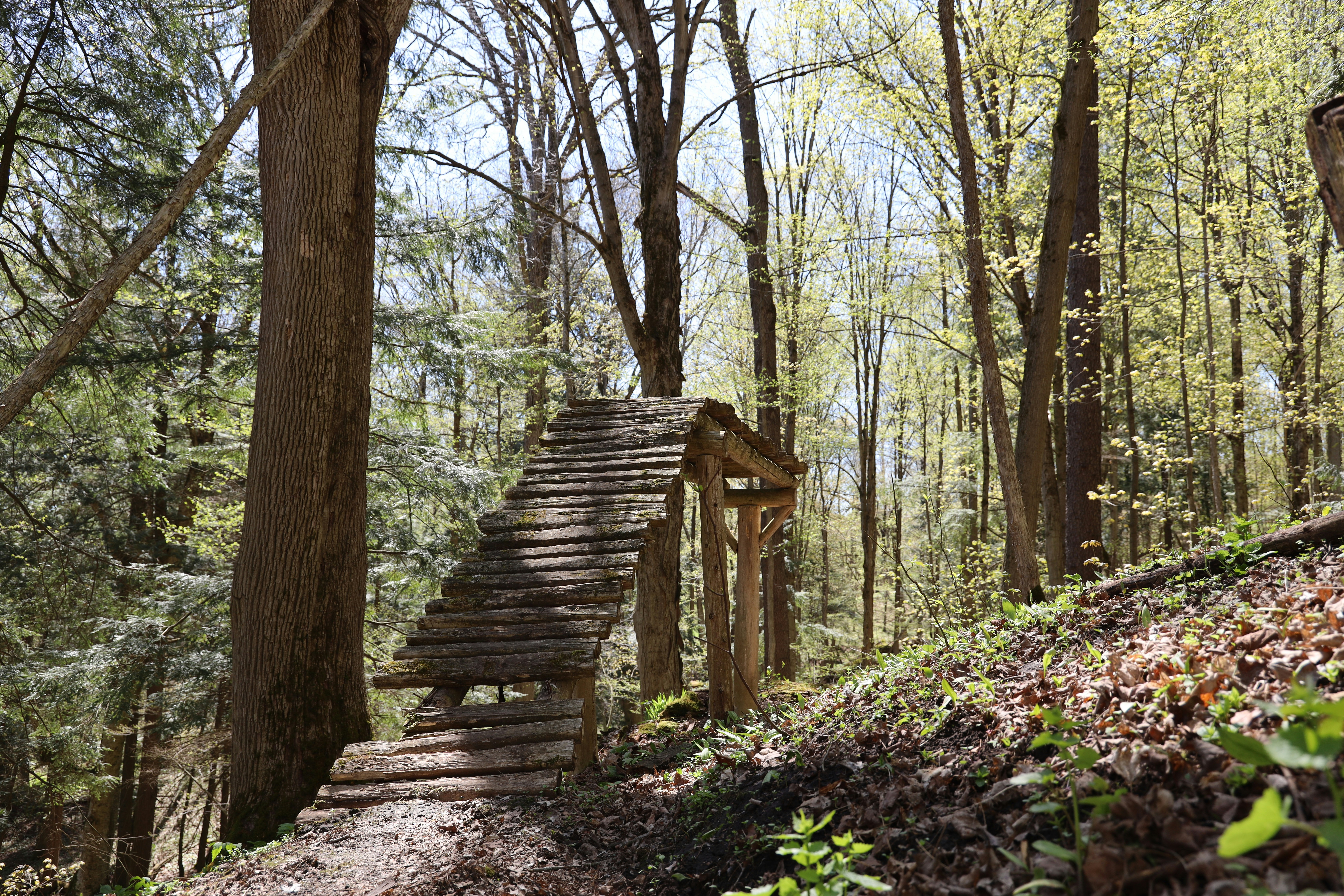 Photo by richardworks