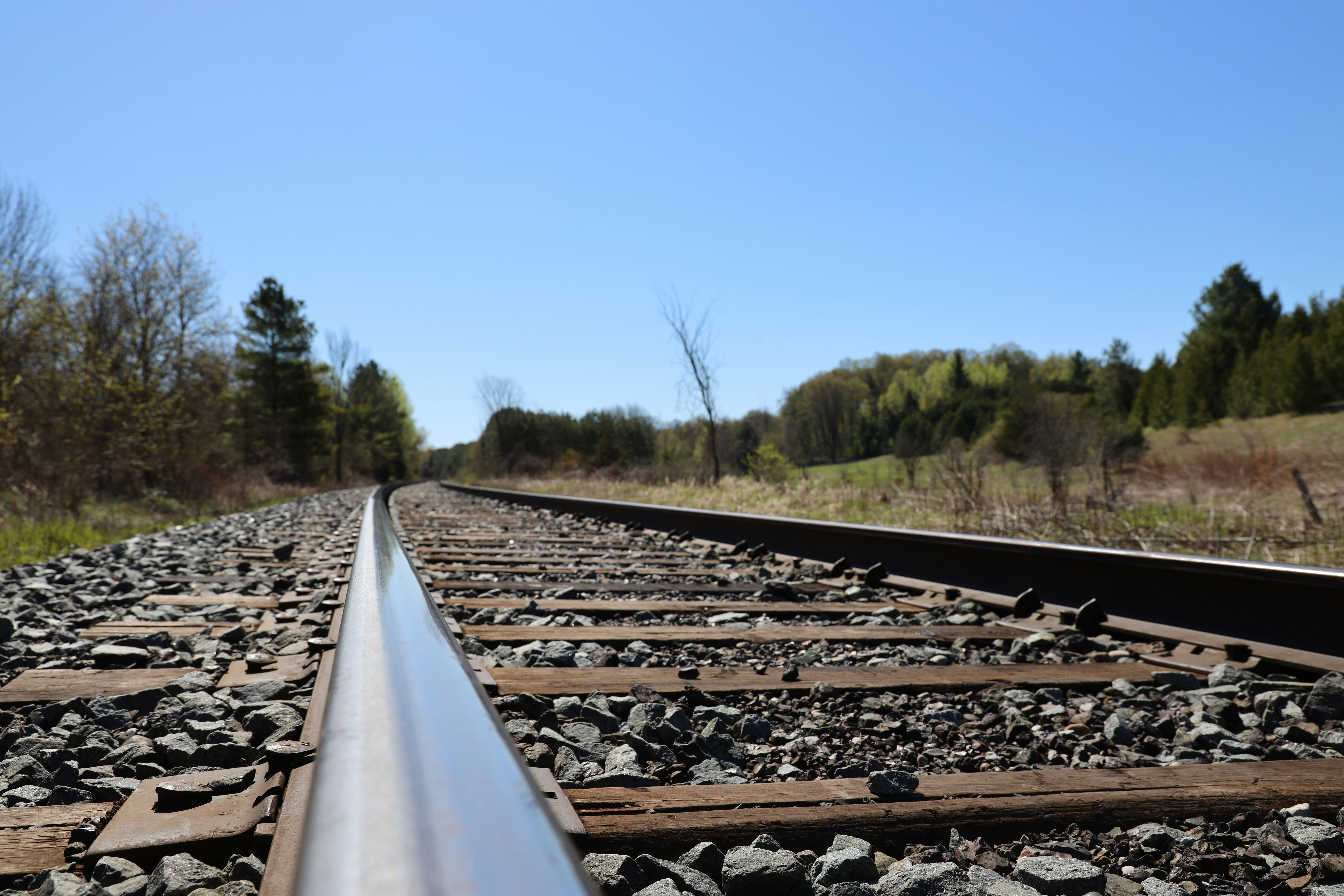 Photo by richardworks