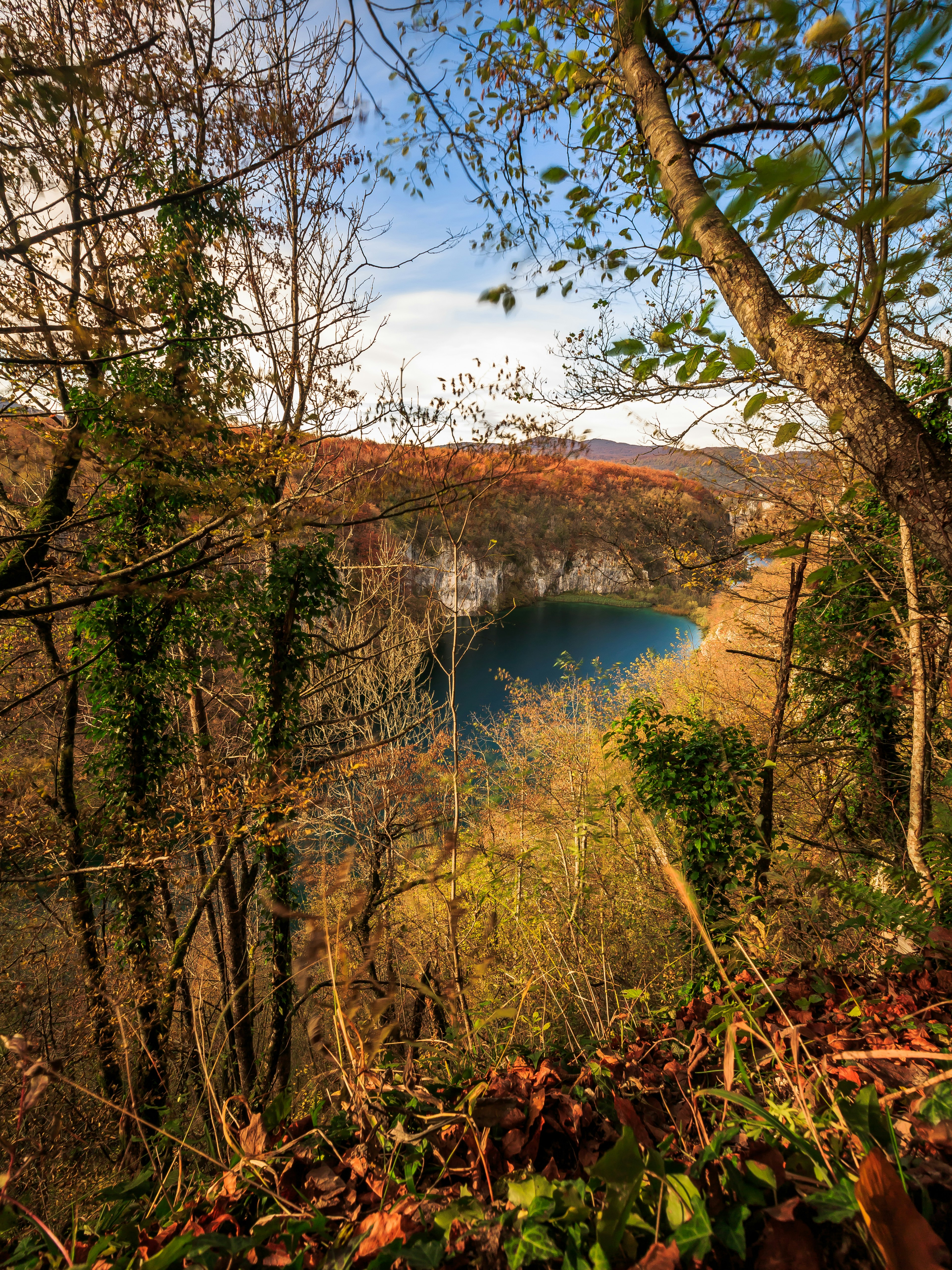 a lake surrounded by trees in the middle of a forest