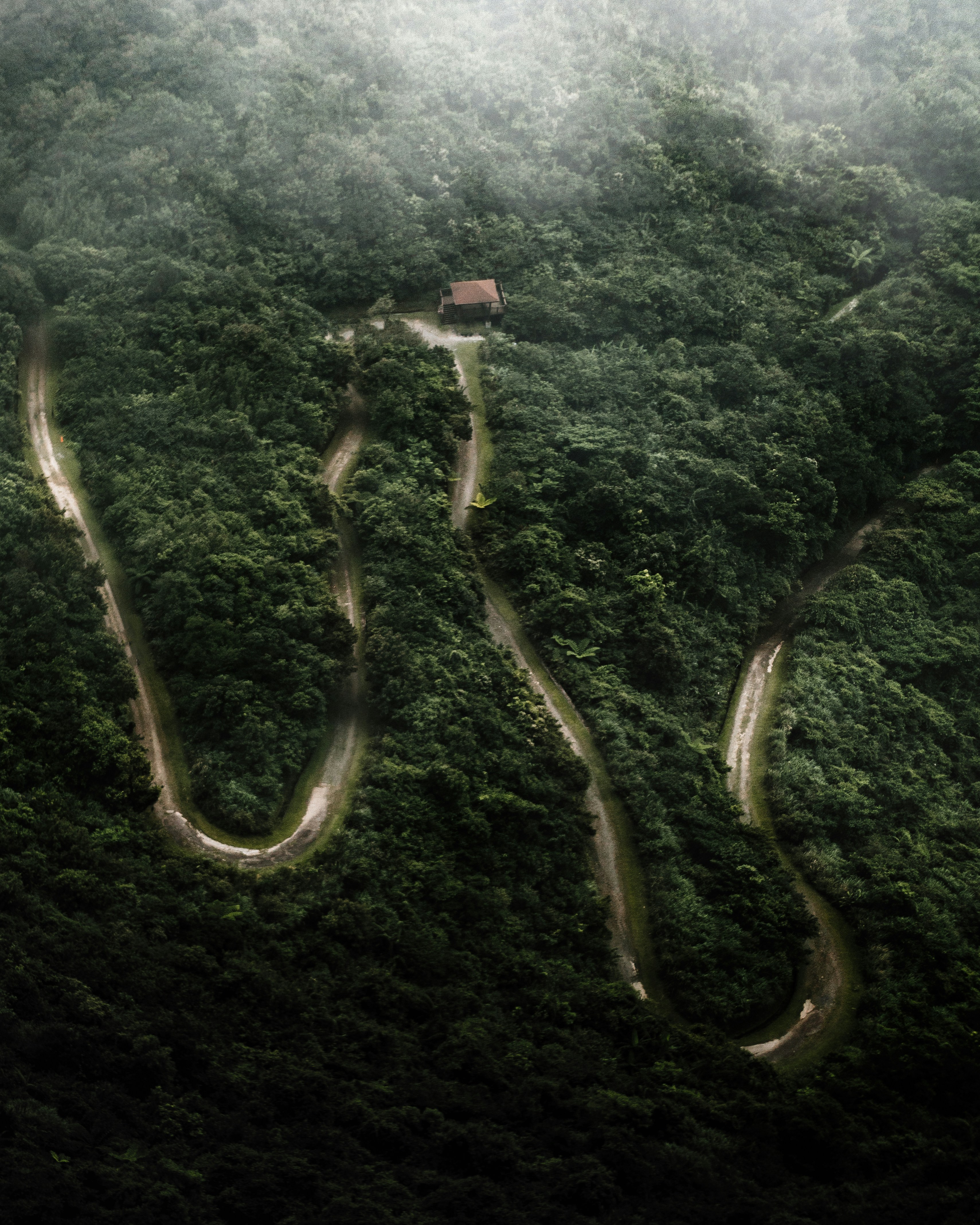 Téléphérique rouge et blanc au-dessus d’arbres verts pendant la journée