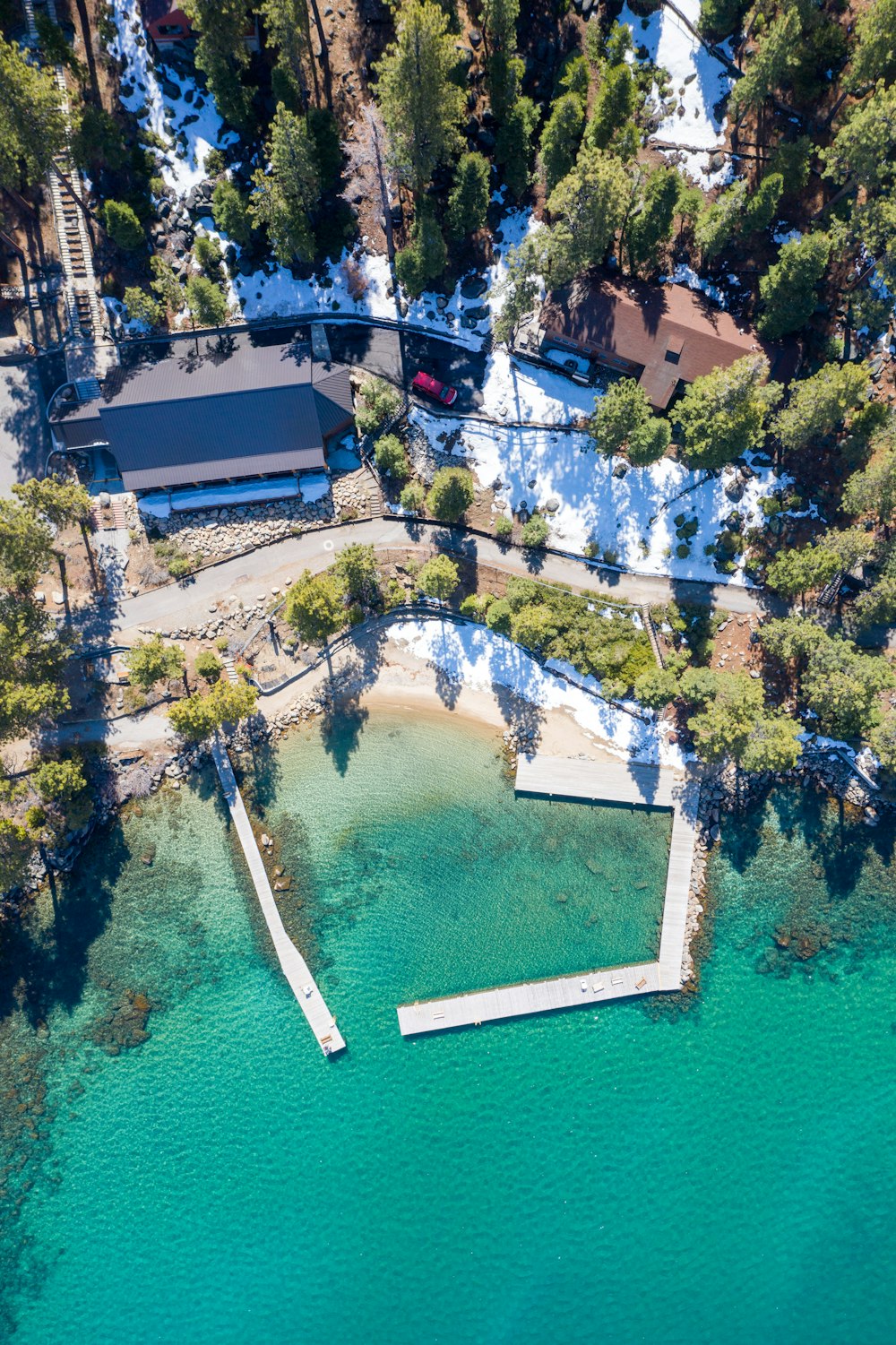 aerial view of green trees near body of water during daytime